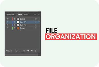 File Organization